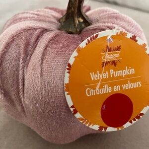 Velvet Pumpkin Rose Decor for a table fall sei